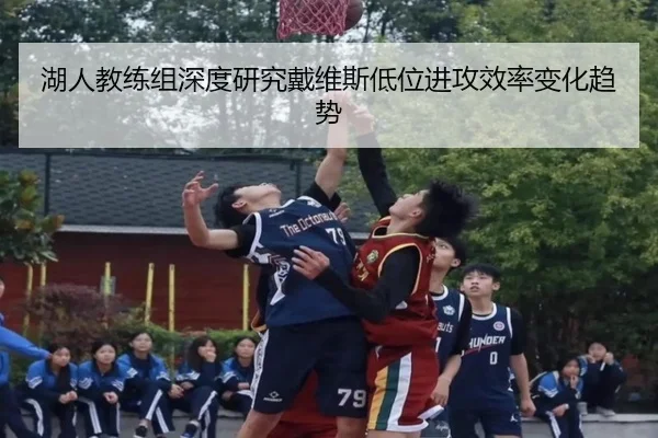湖人教练组深度研究戴维斯低位进攻效率变化趋势