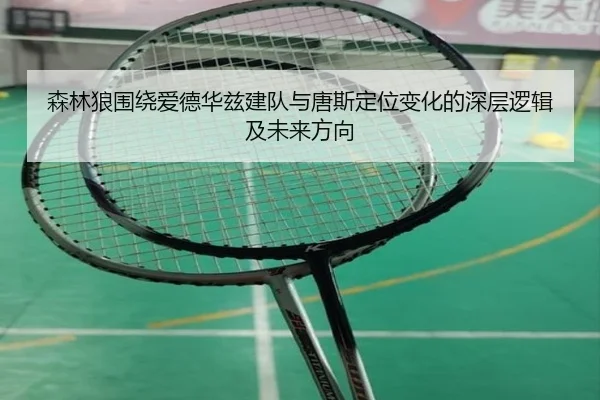 森林狼围绕爱德华兹建队与唐斯定位变化的深层逻辑及未来方向